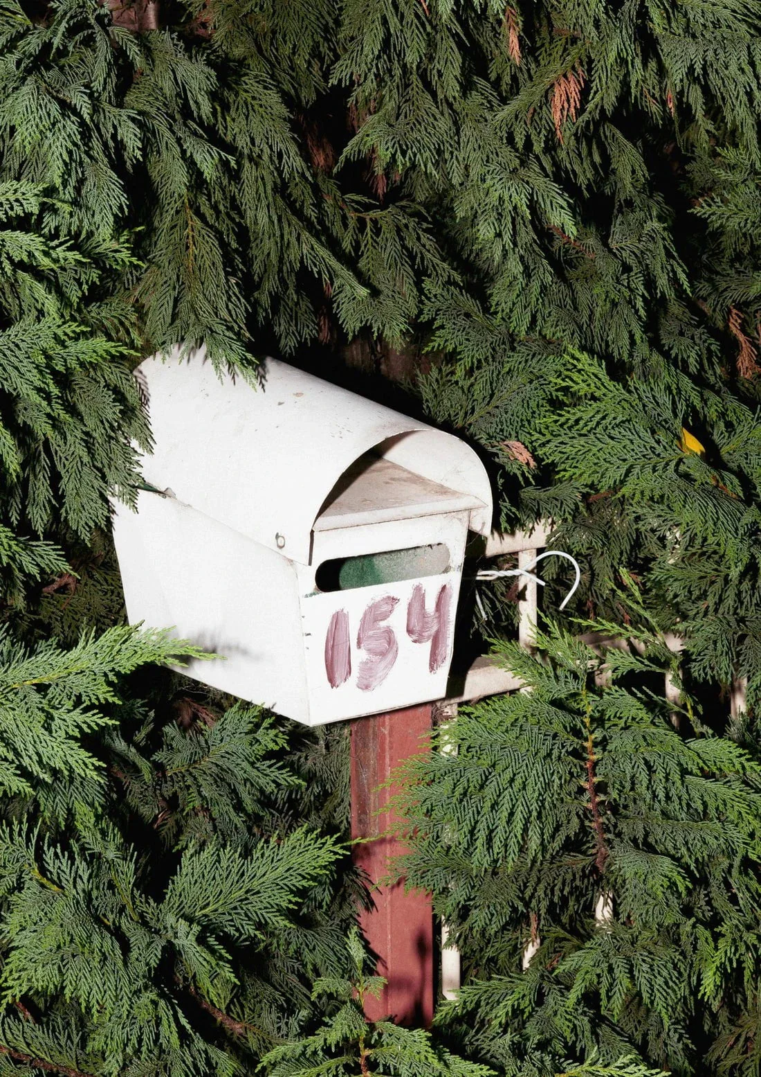 154 - Image 2