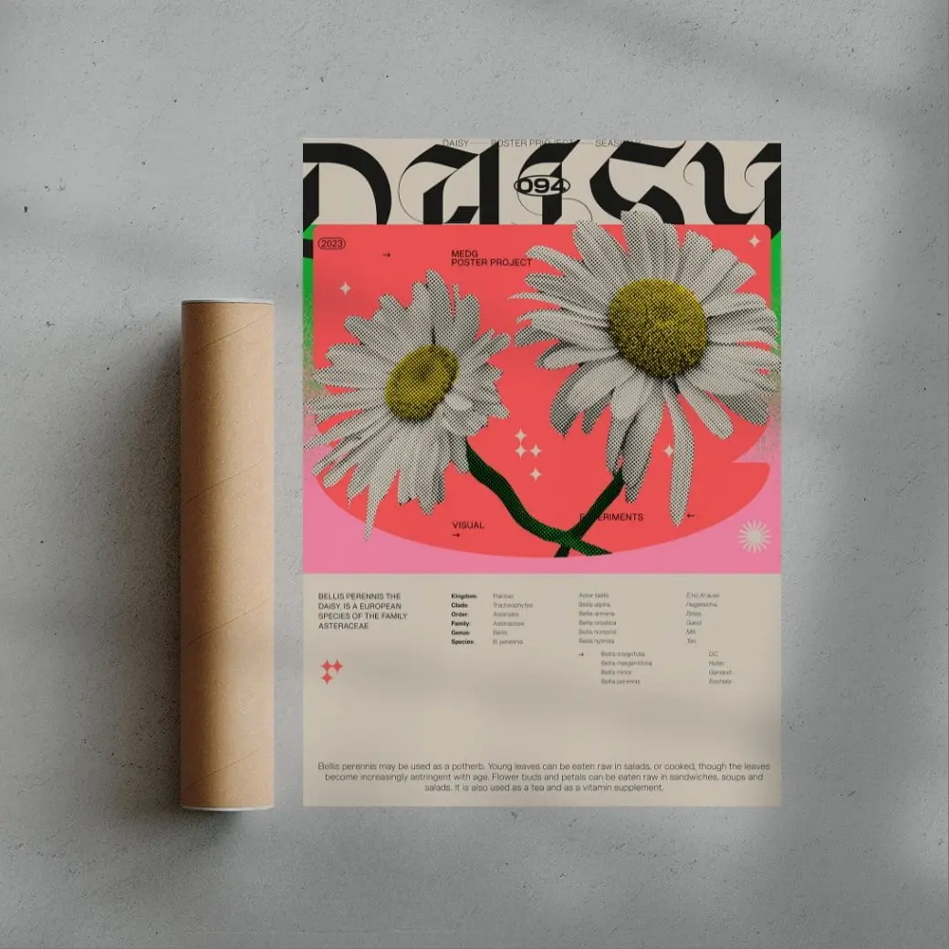 Daisy - Image 2