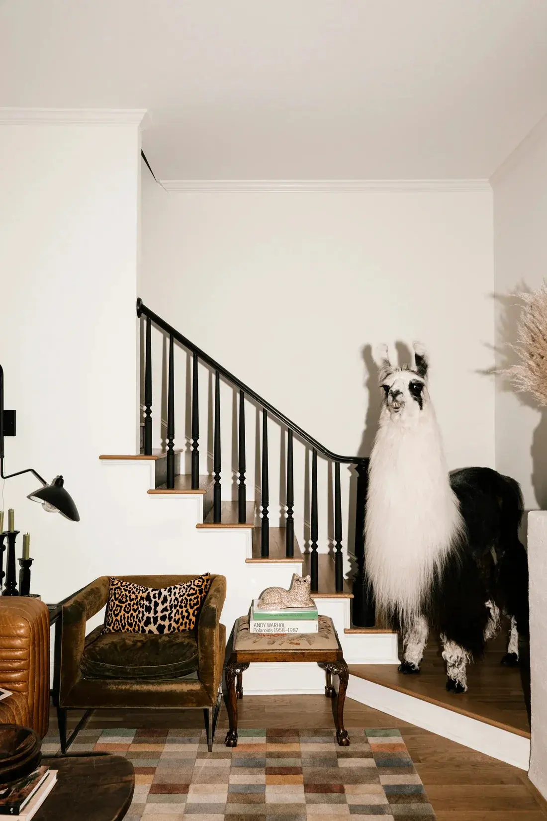 A Welcome Llama - Image 2