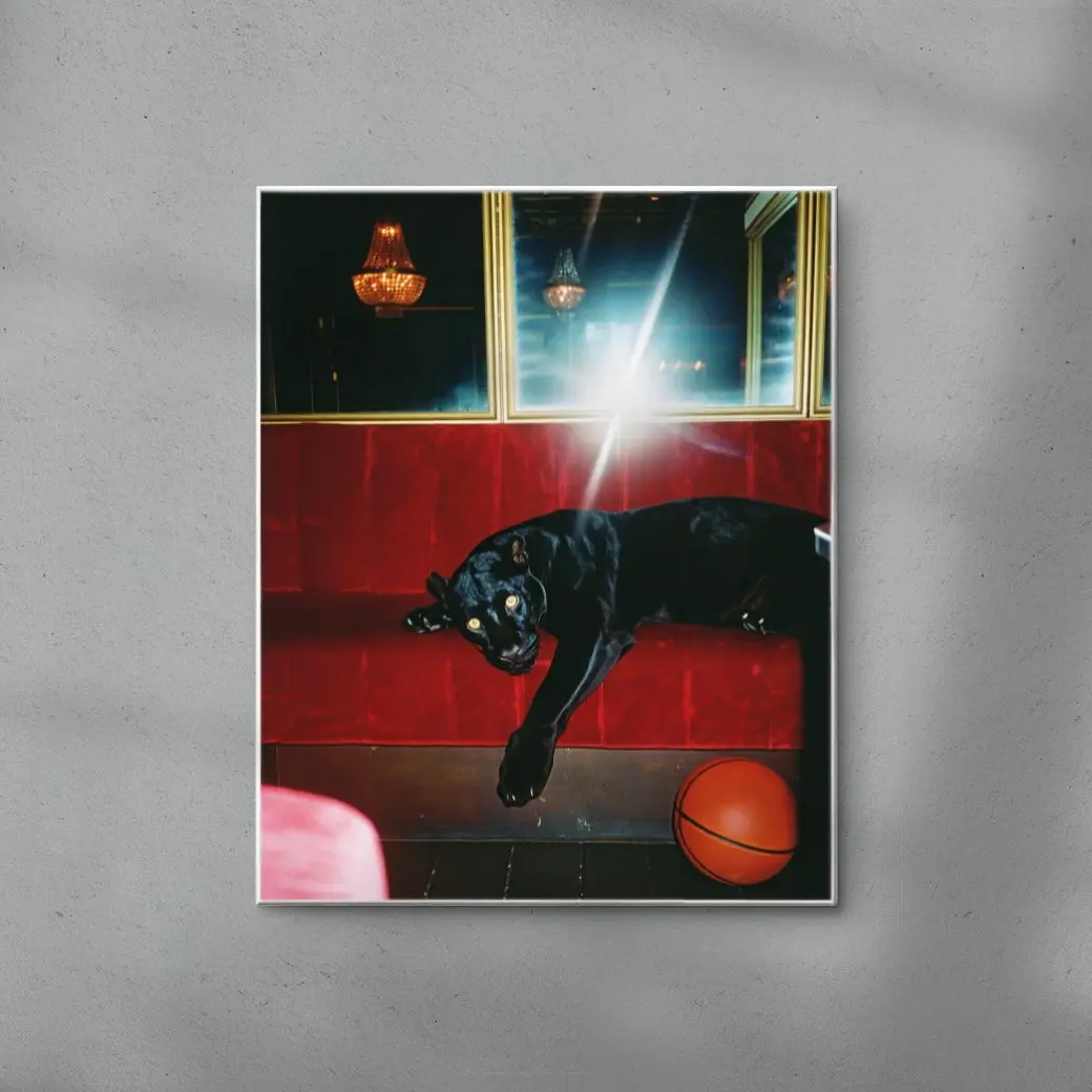 ALL IN. - Image 3