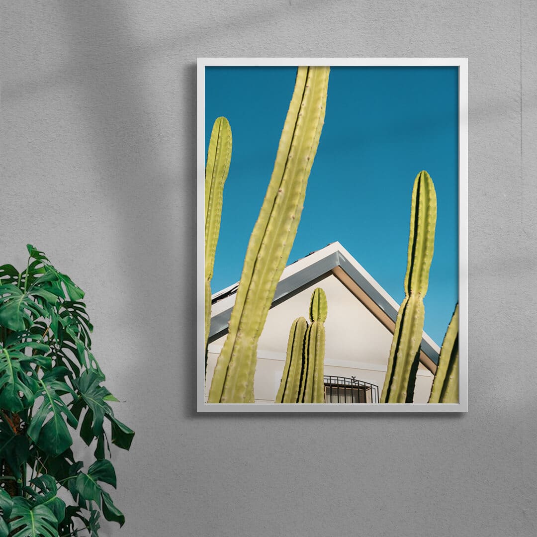 Among the cactus - Image 4