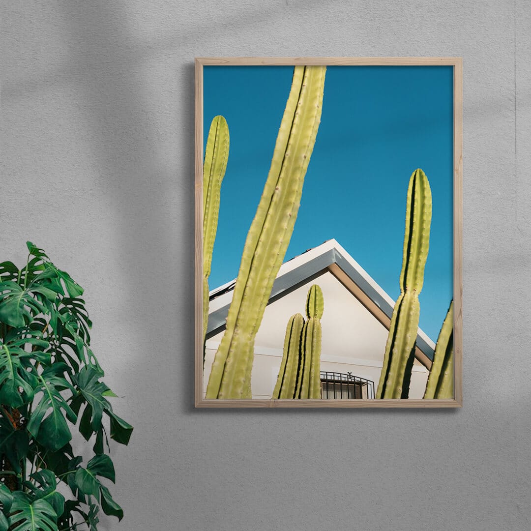 Among the cactus - Image 5