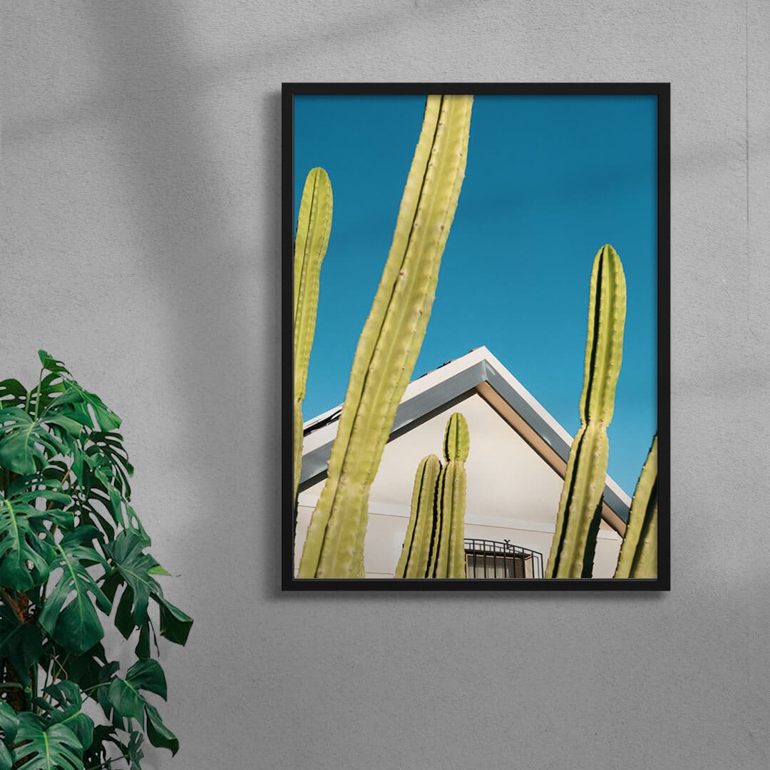 Among the cactus - Image 6