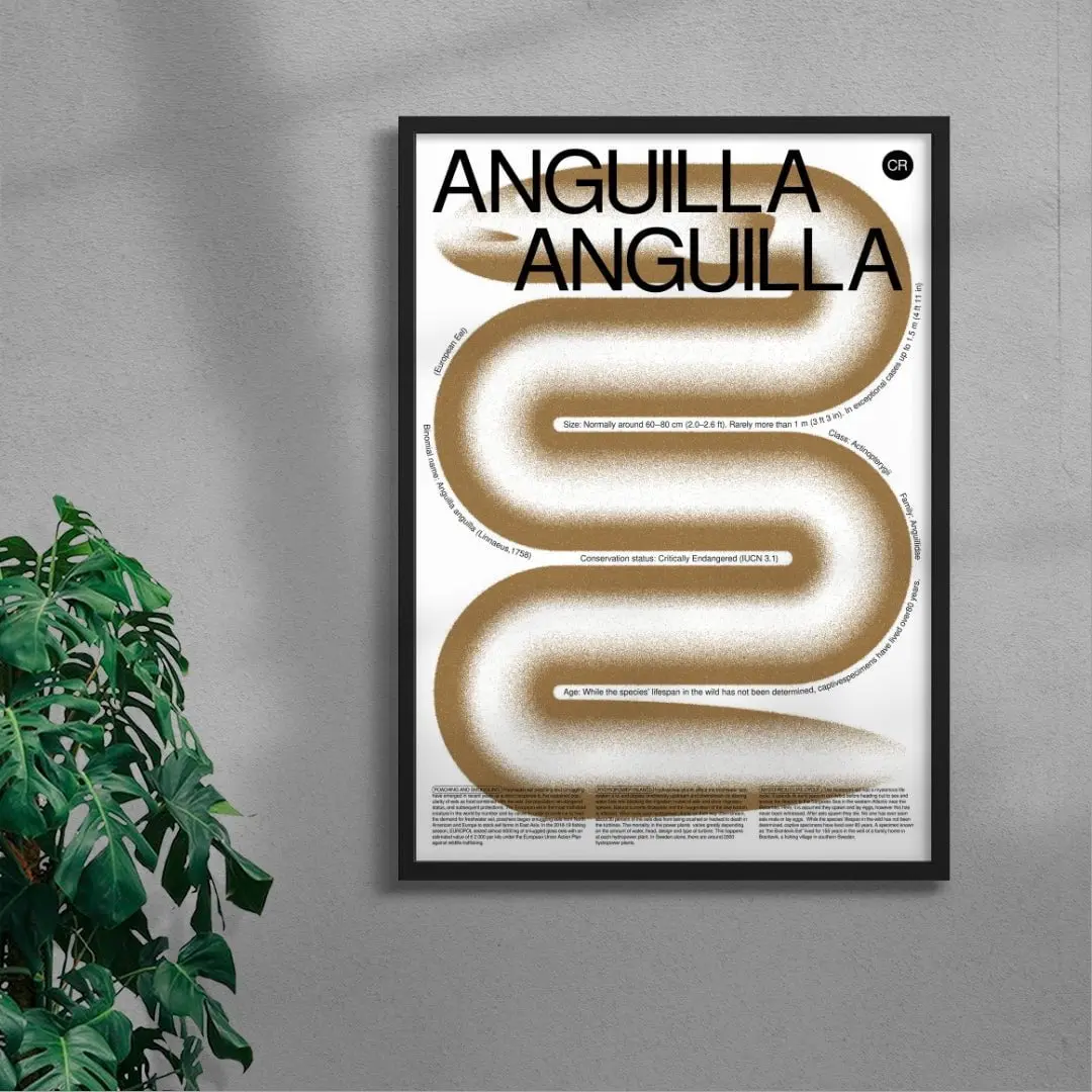 Anguilla - Image 4
