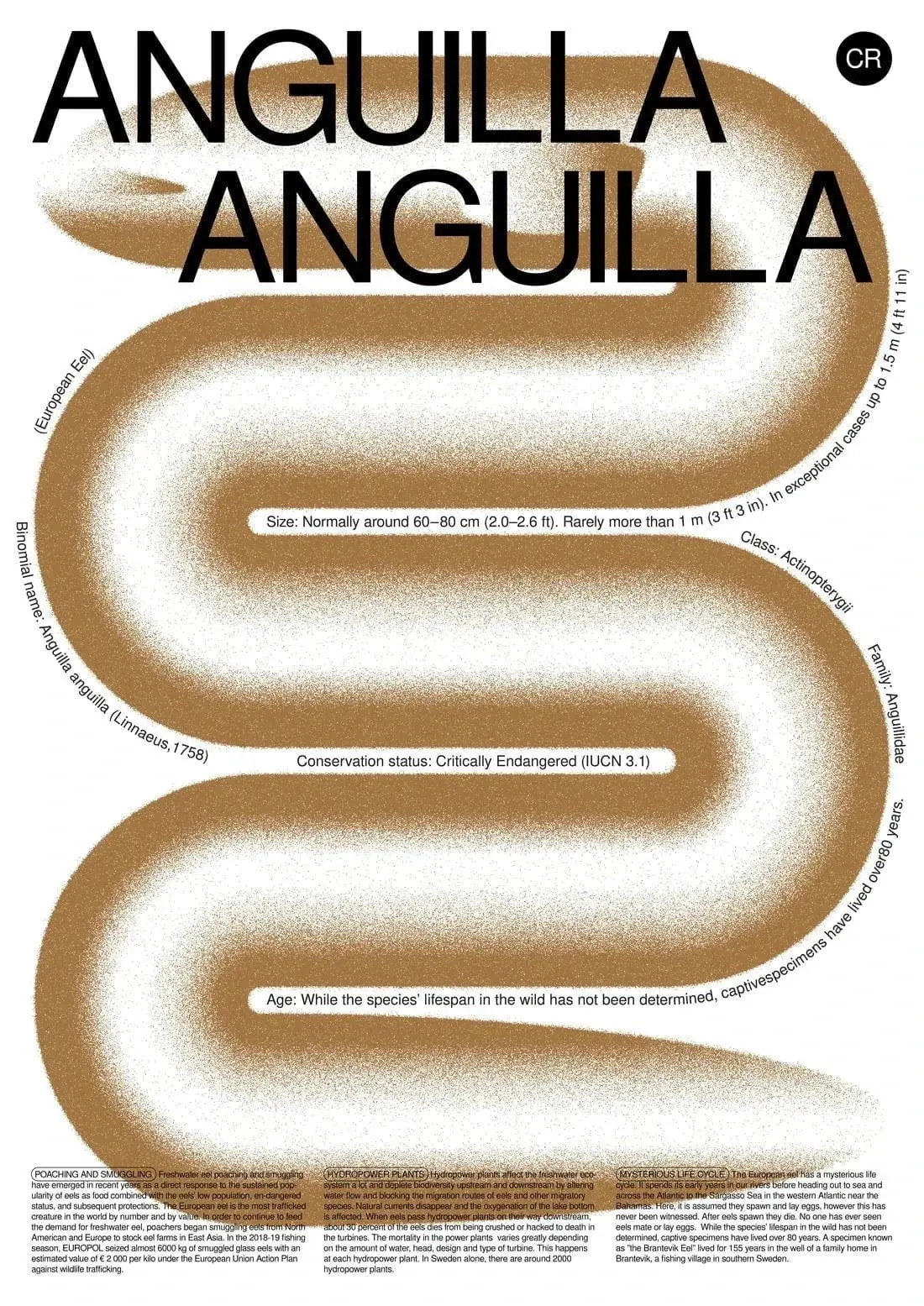 Anguilla - Image 2