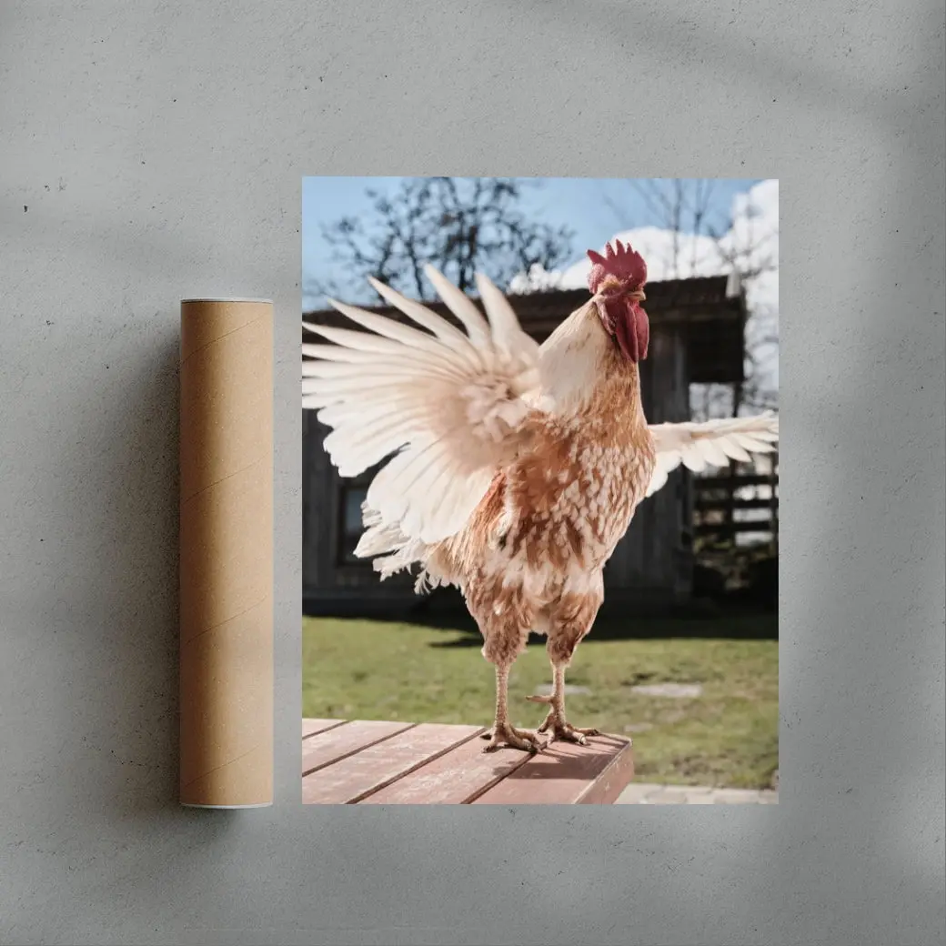 Backyard Rooster - Image 3