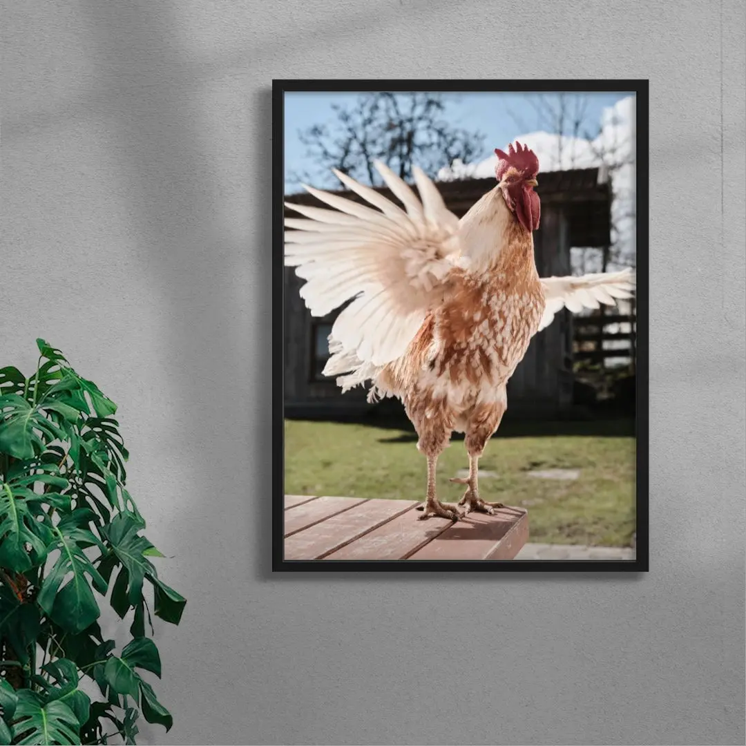 Backyard Rooster - Image 4