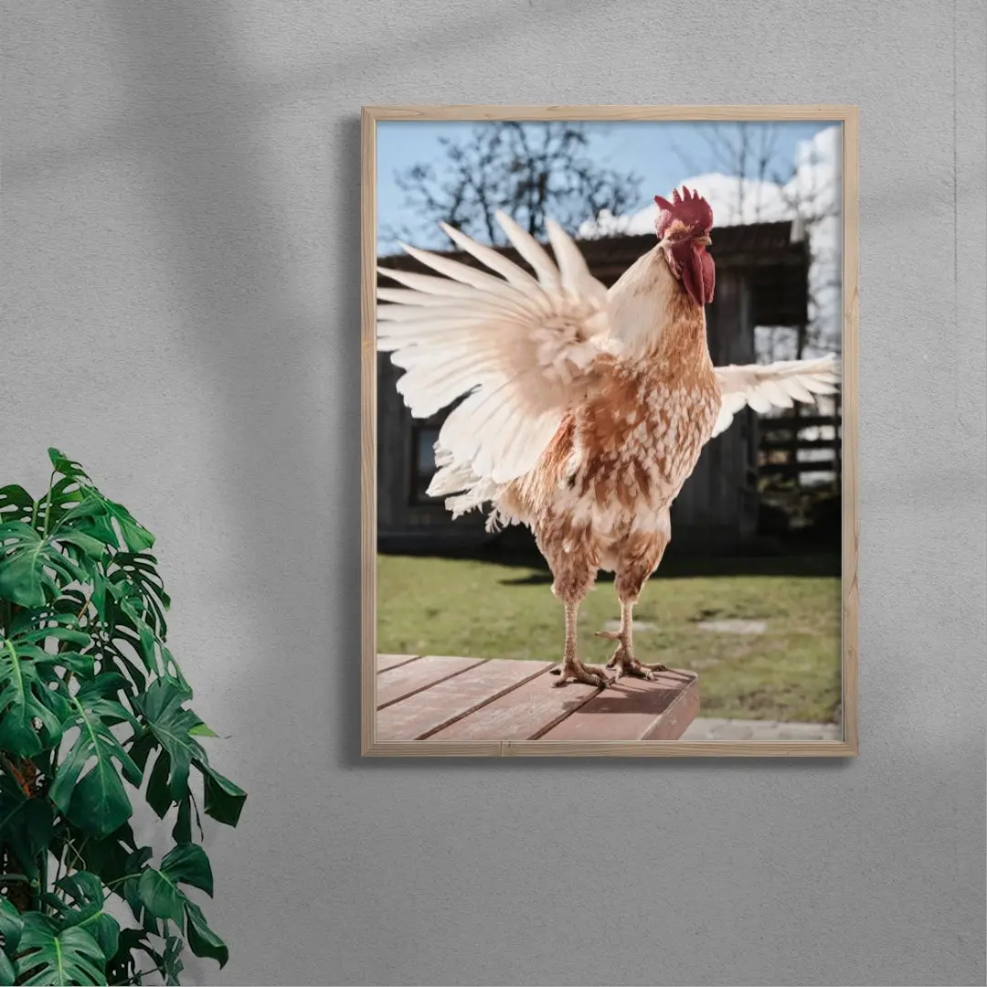 Backyard Rooster - Image 6