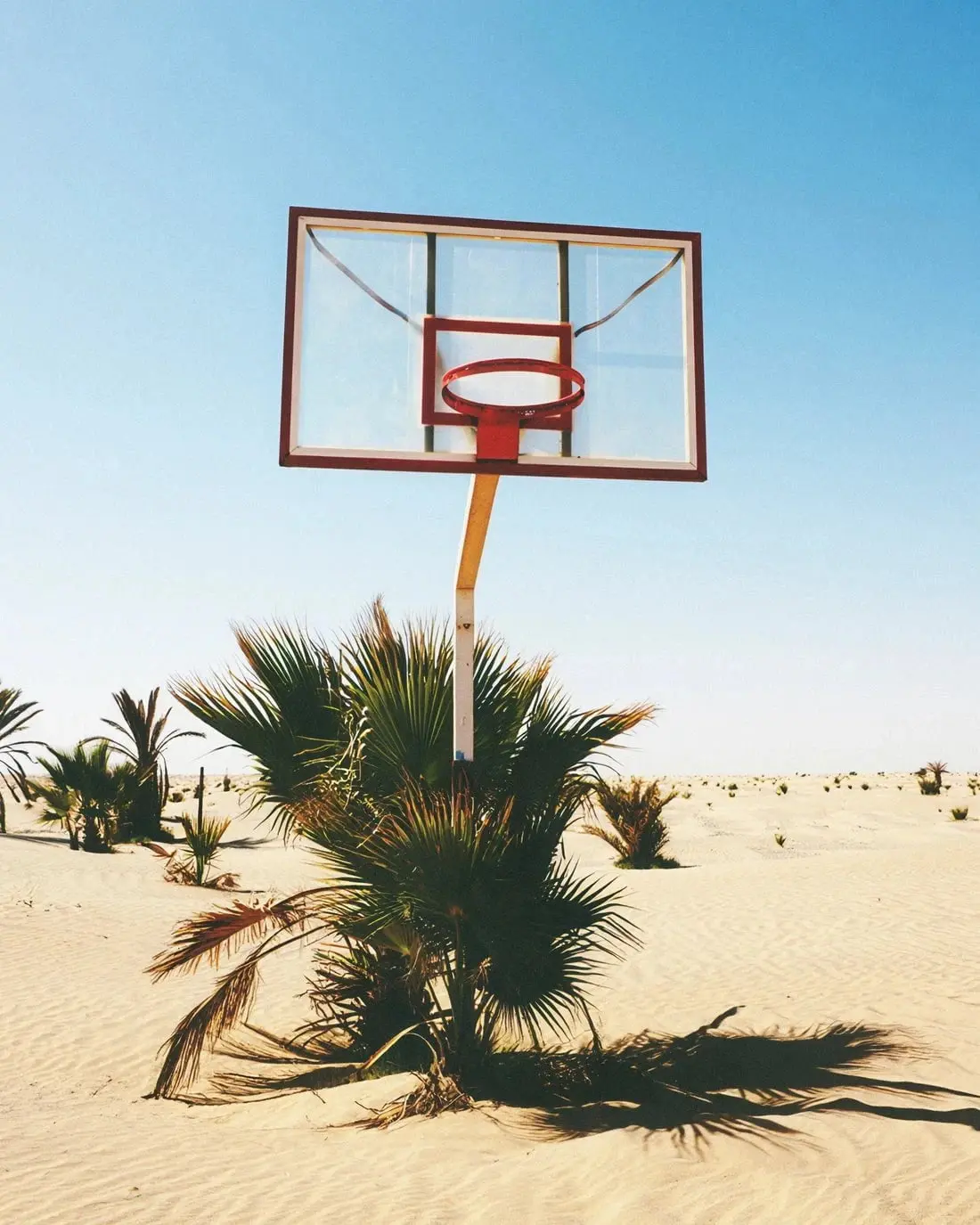 BALL IS LIFE - Image 2