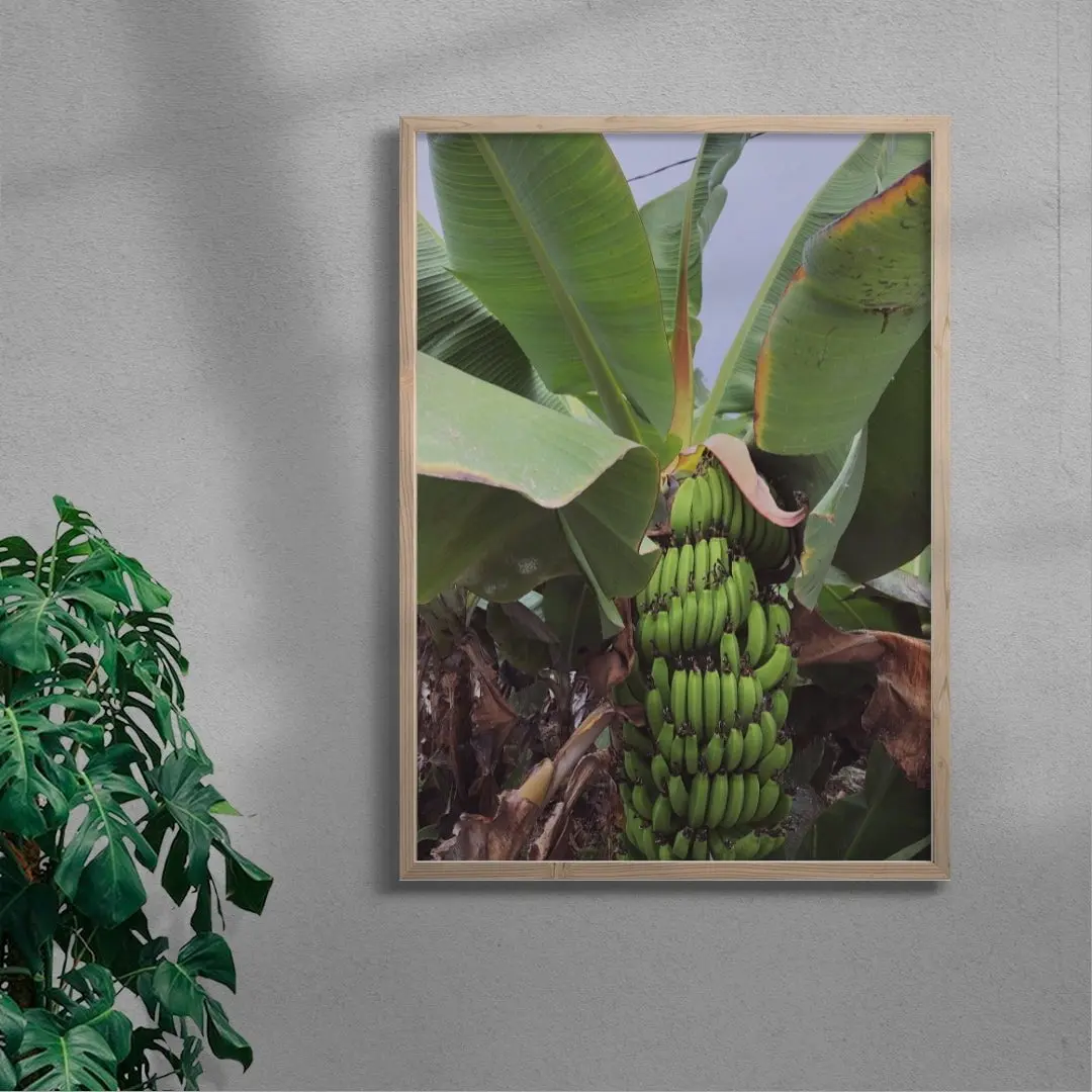Banana Palm - UNFRAMED - Image 5