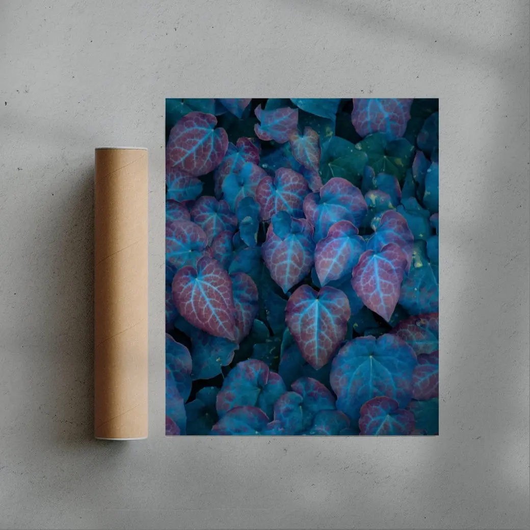 Barrenwort - Image 3