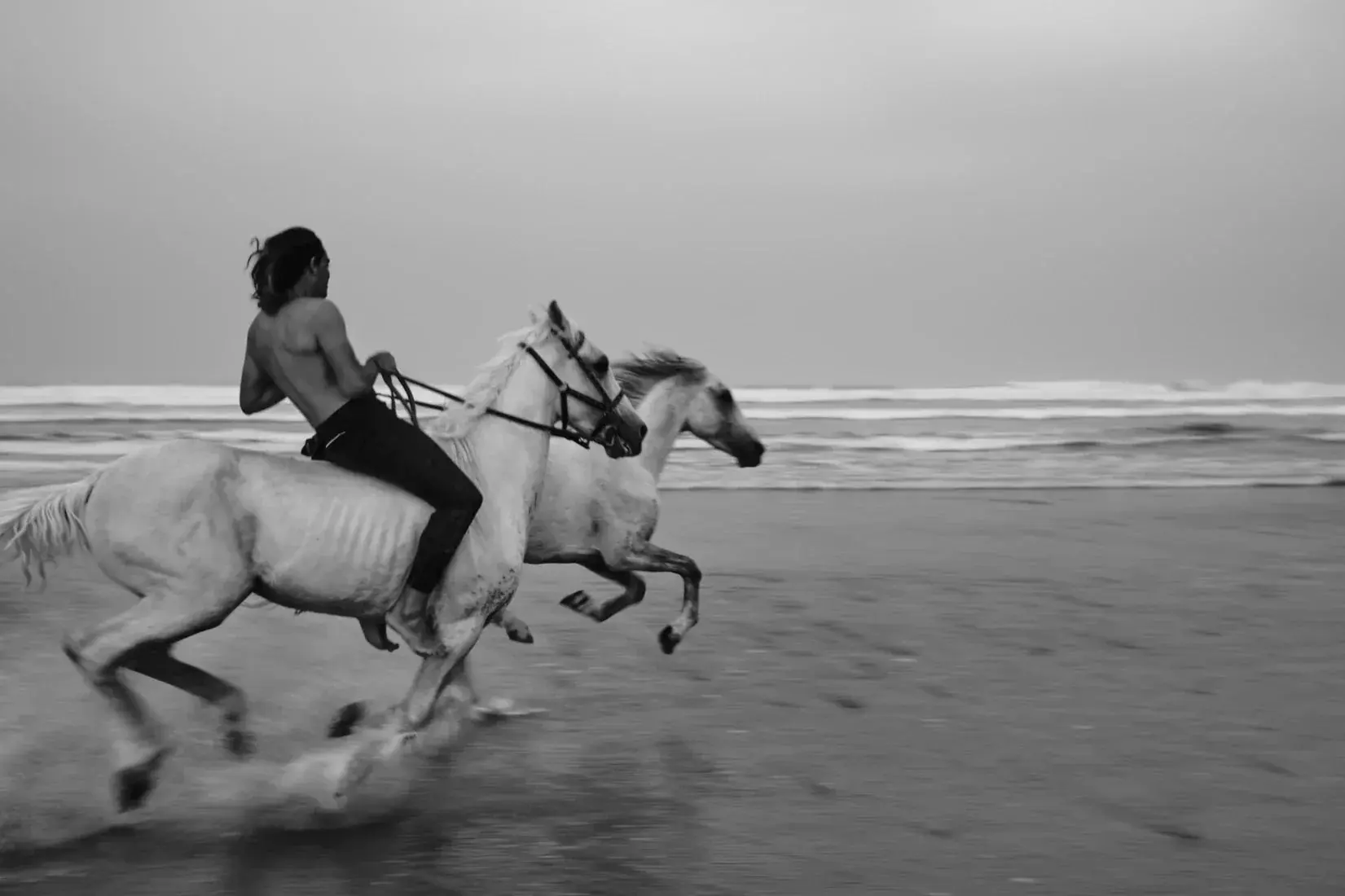 Beach Gallop - Image 2