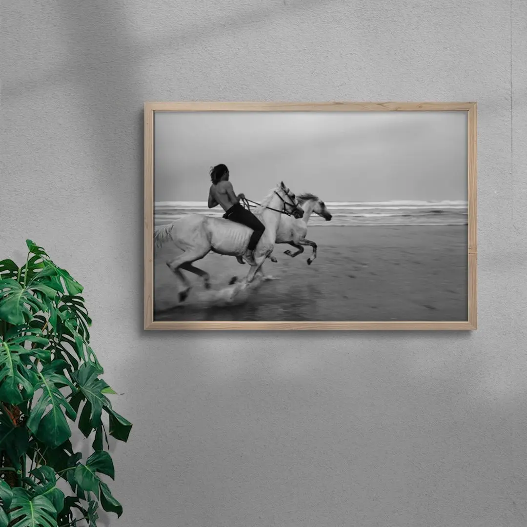 Beach Gallop - Image 6