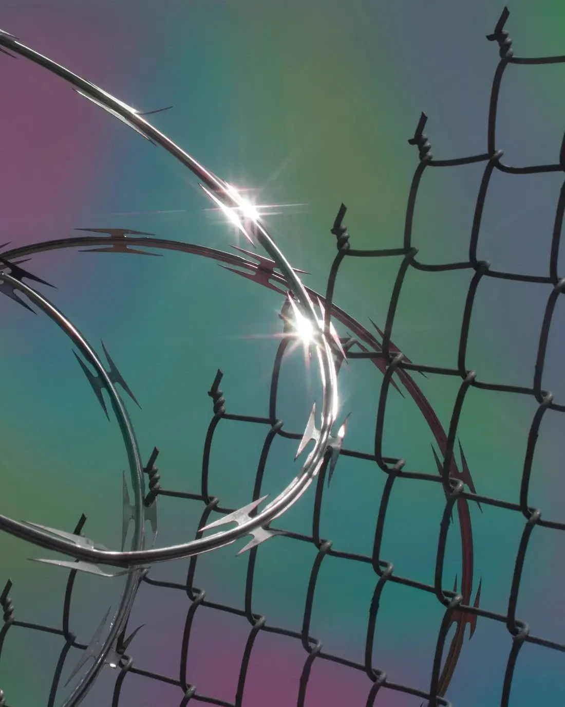 Between the Razor Wire - Image 2