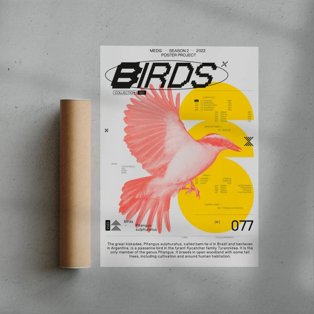 Birds - Image 2
