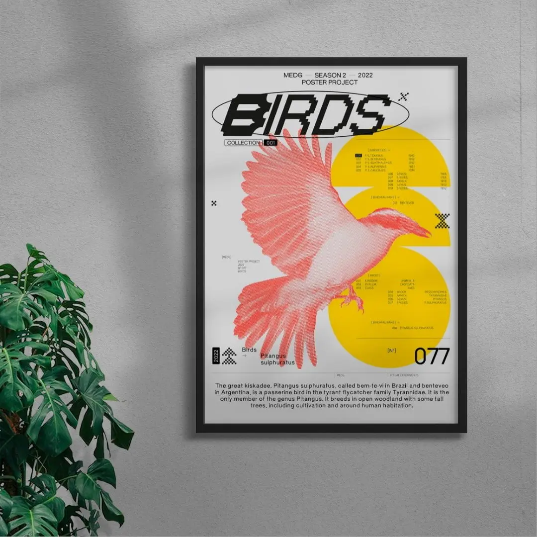 Birds - Image 3