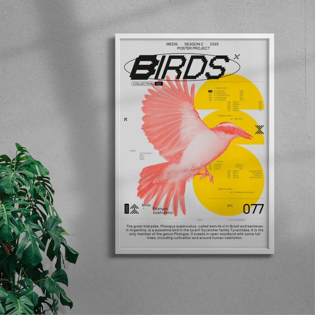 Birds - Image 4