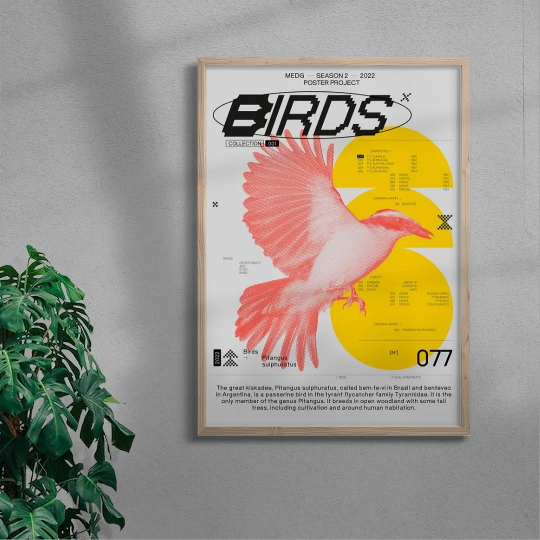 Birds - Image 5