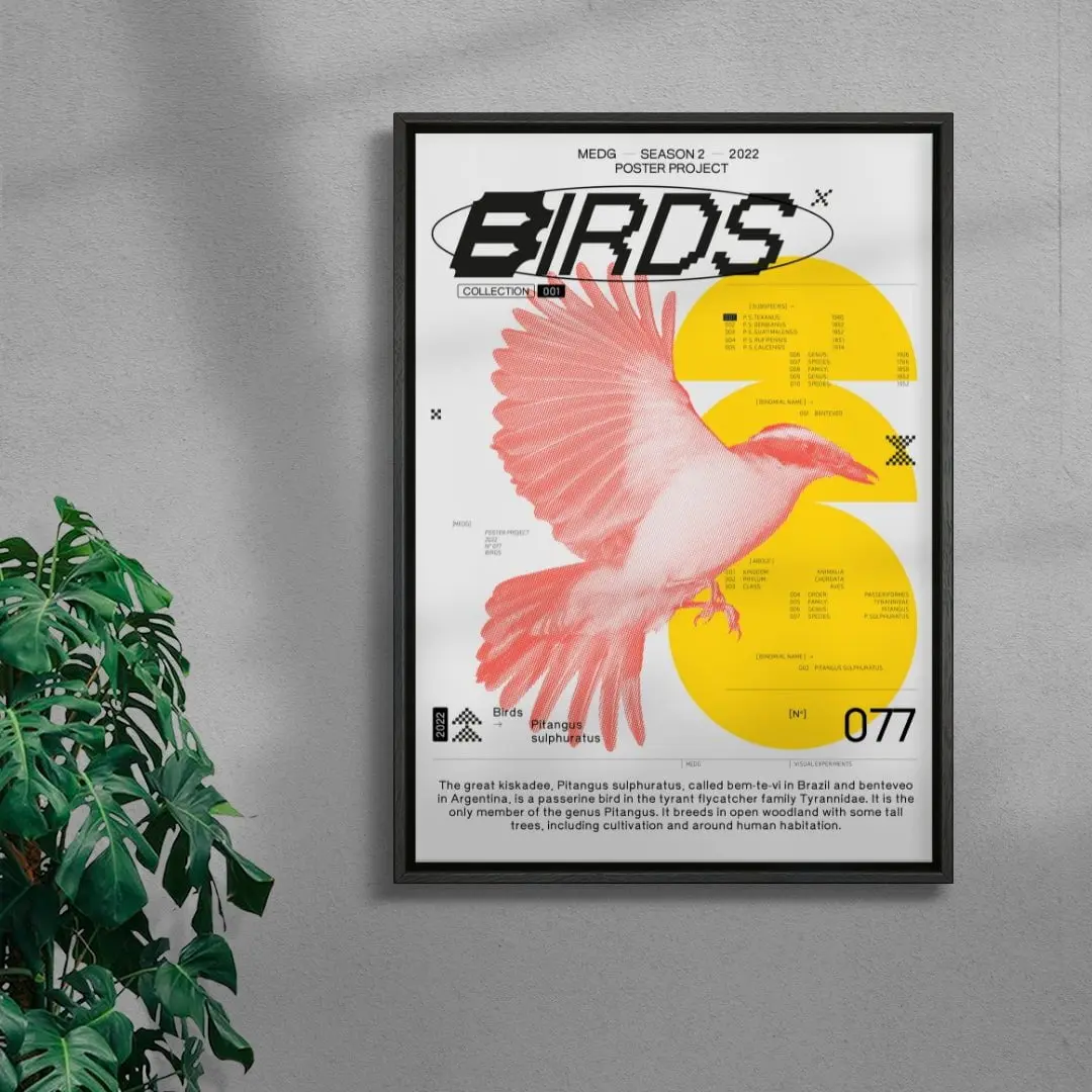 Birds - Image 3