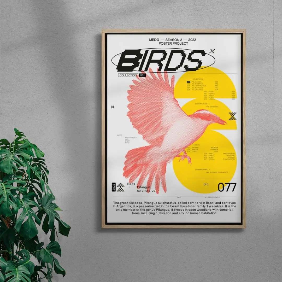Birds - Image 4