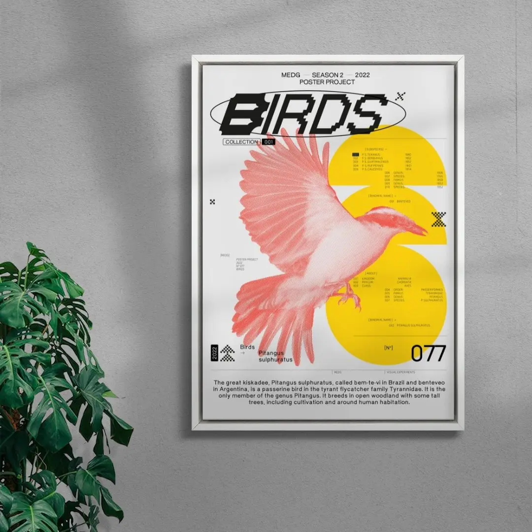 Birds - Image 5