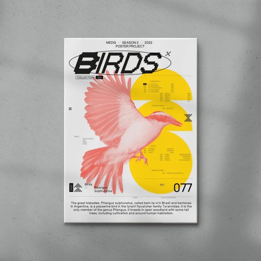 Birds - Image 6