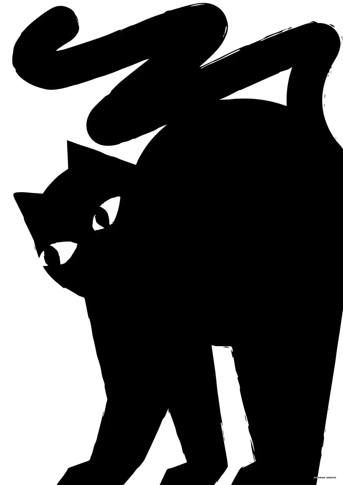 Black cat - Image 2