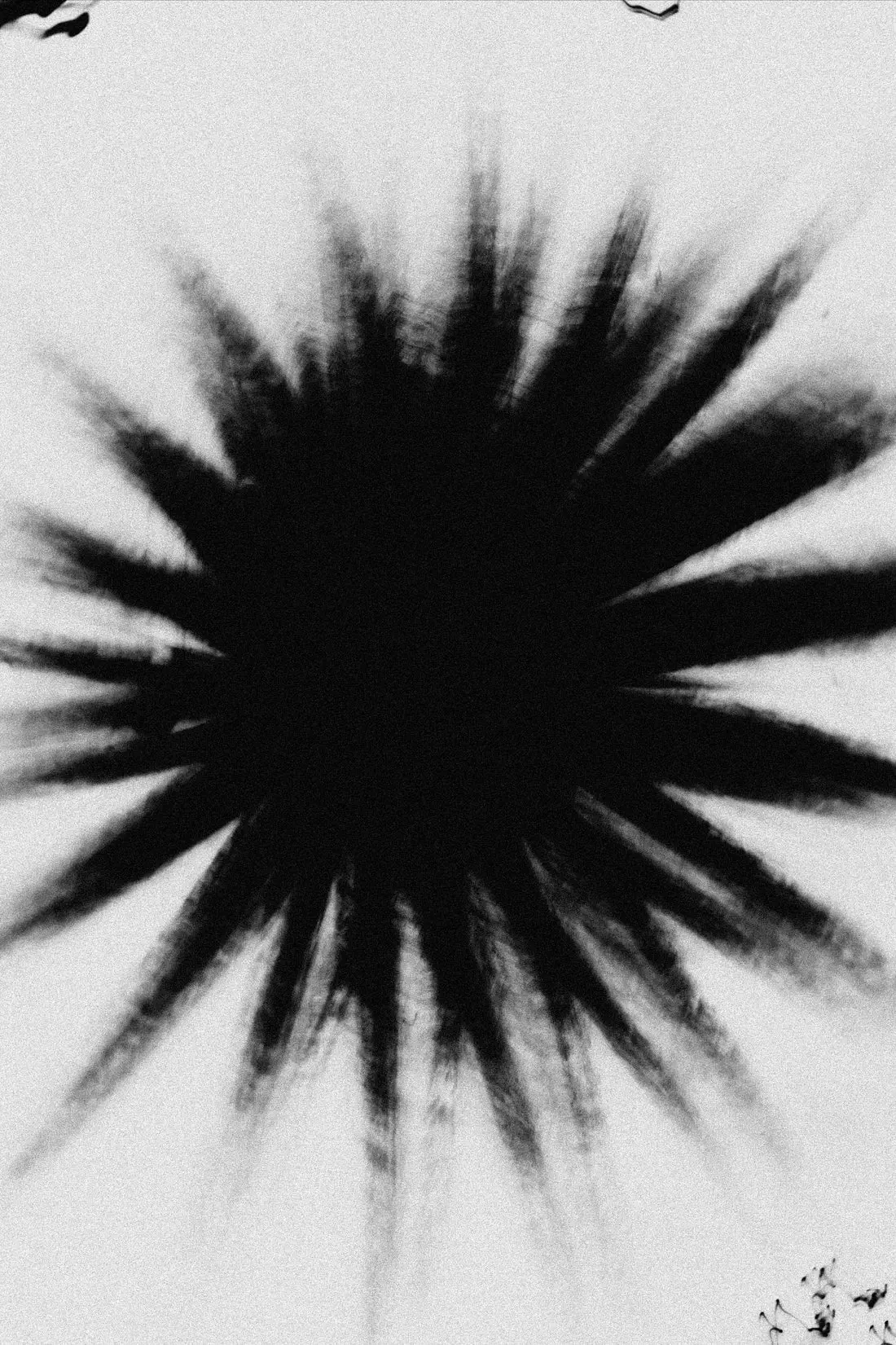 Black Star - Image 2