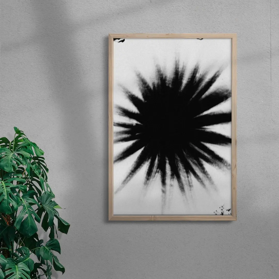 Black Star - Image 6