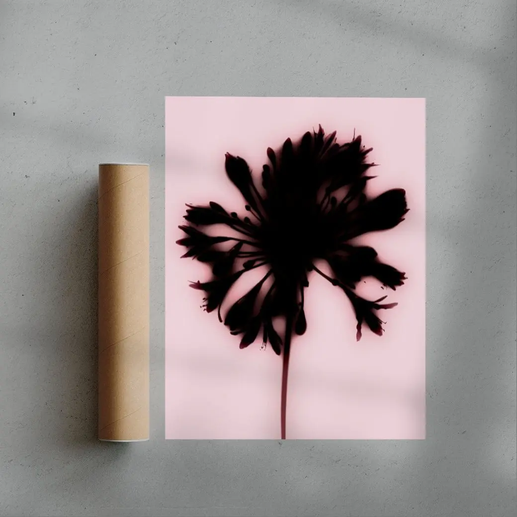 Blooming - Image 3