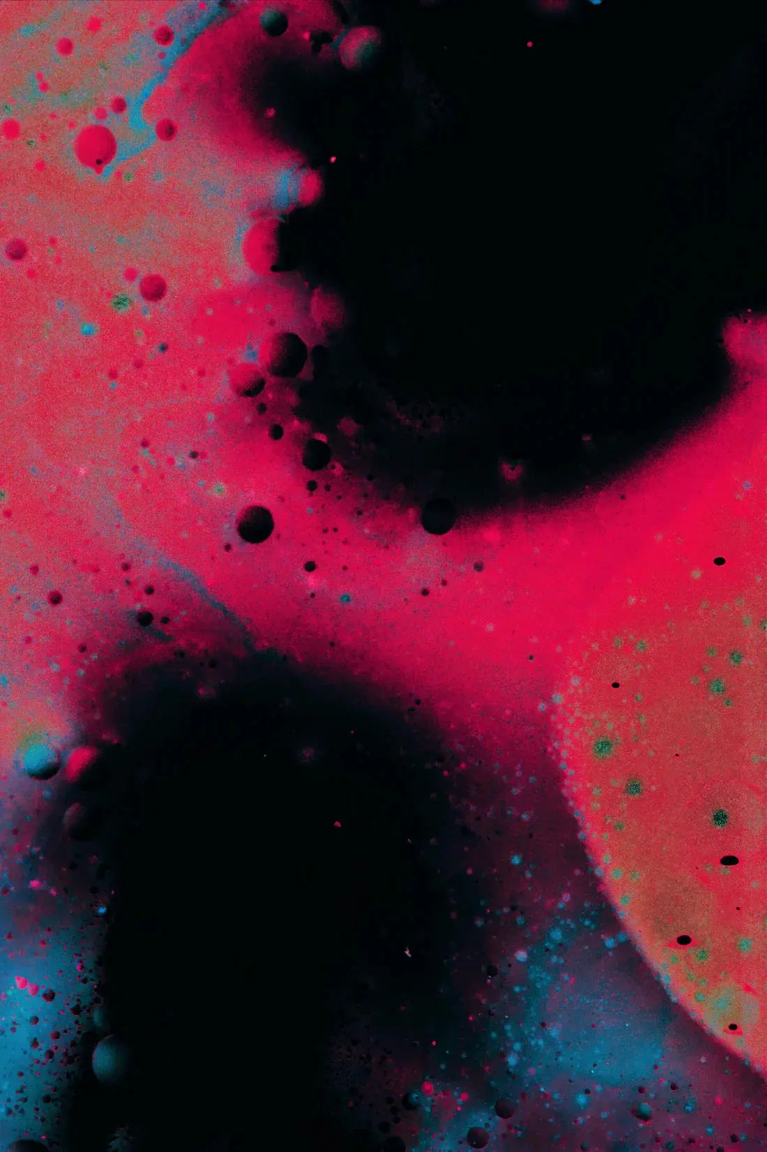 Blot - Image 2