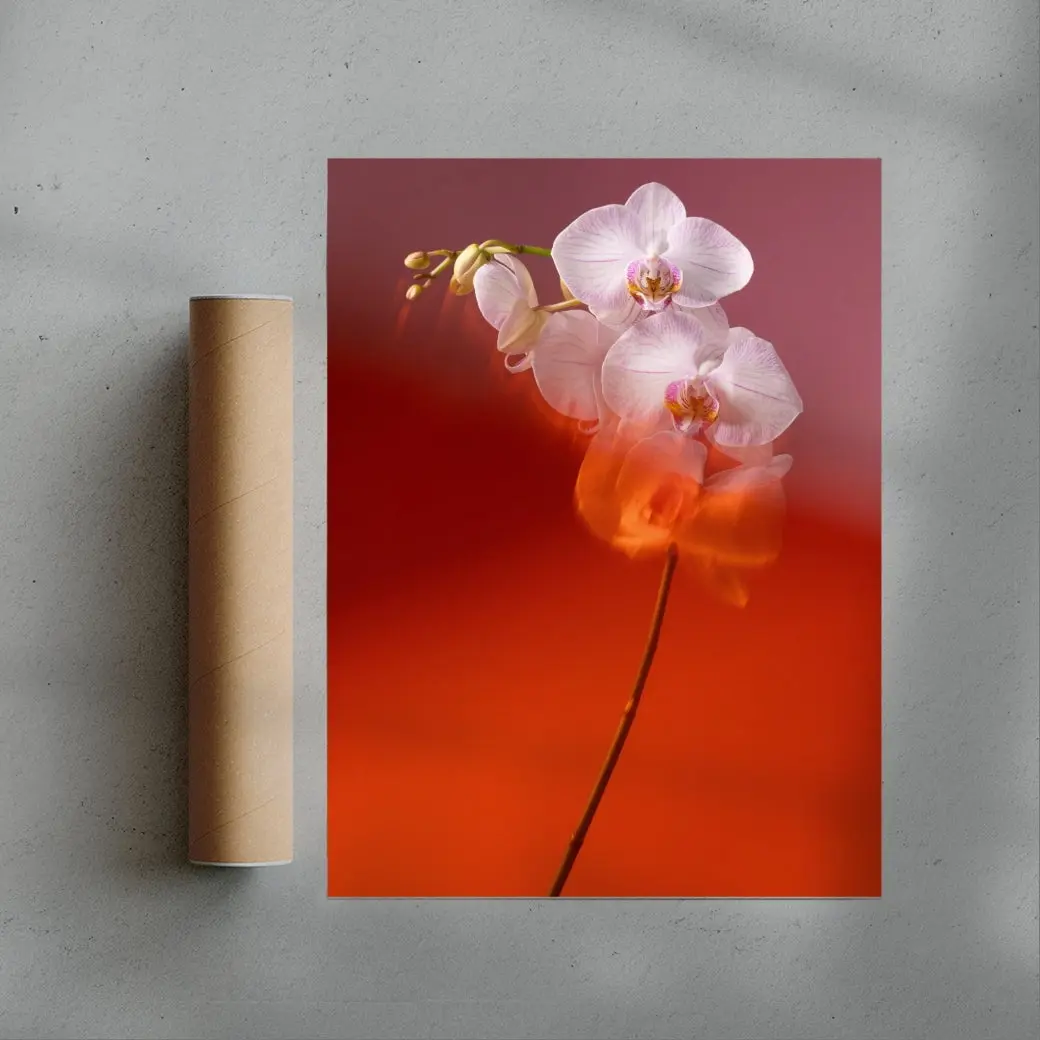 Blushing Orchid - Image 3