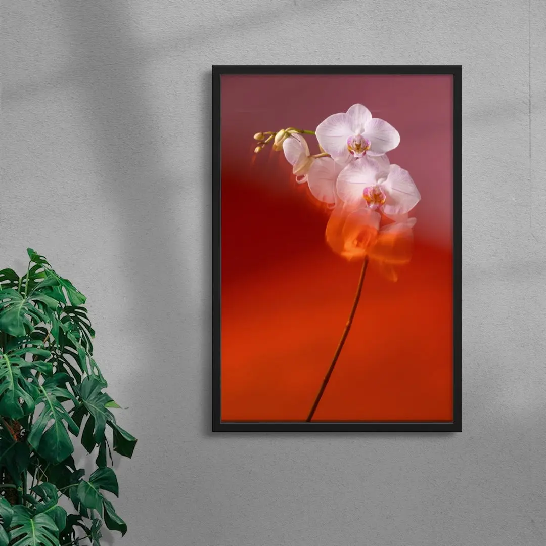 Blushing Orchid - Image 4