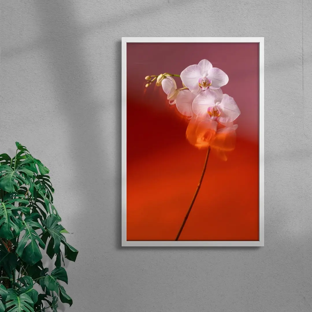 Blushing Orchid - Image 5