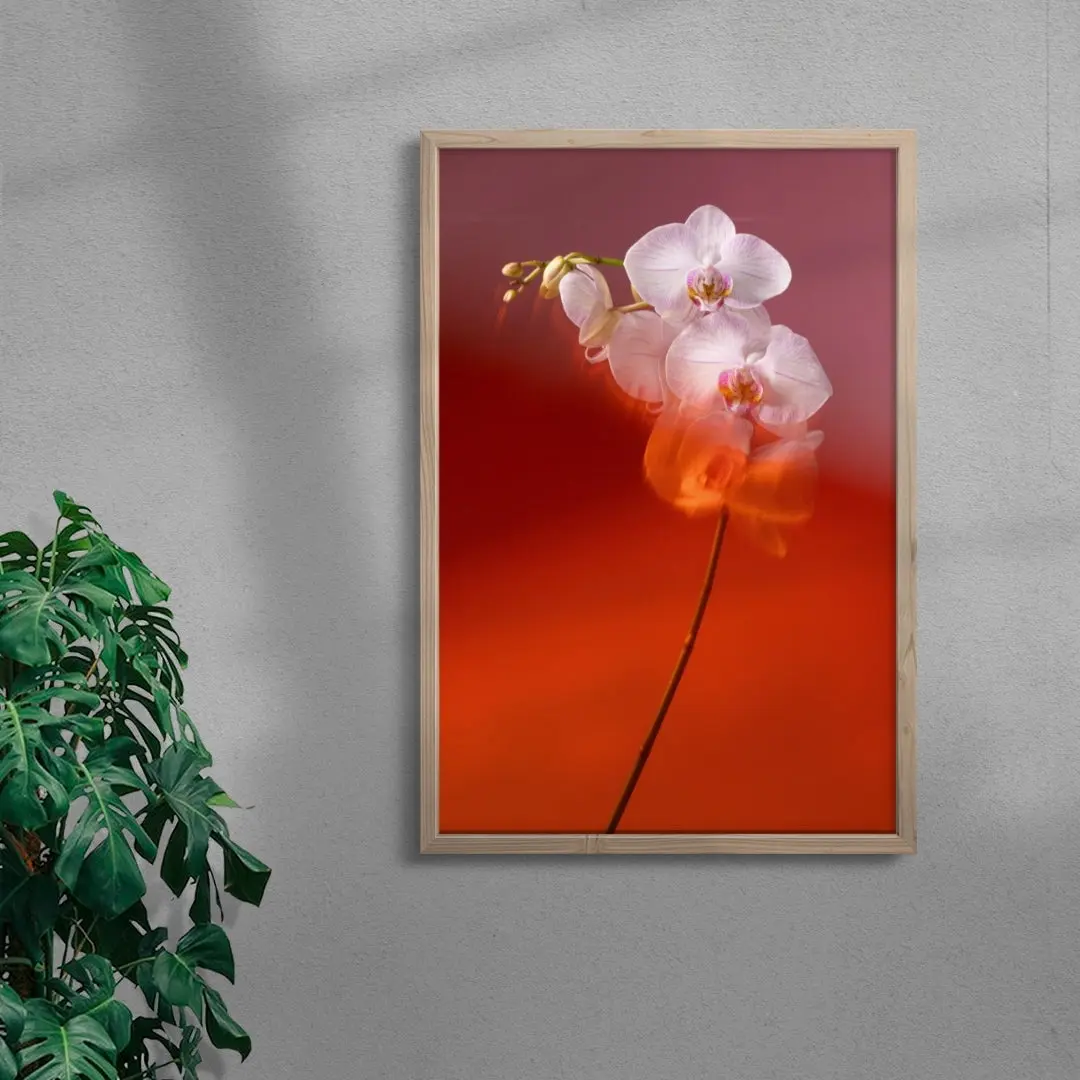 Blushing Orchid - Image 6
