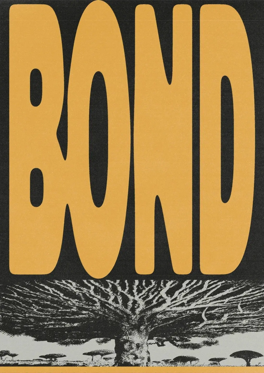 BOND - Image 2