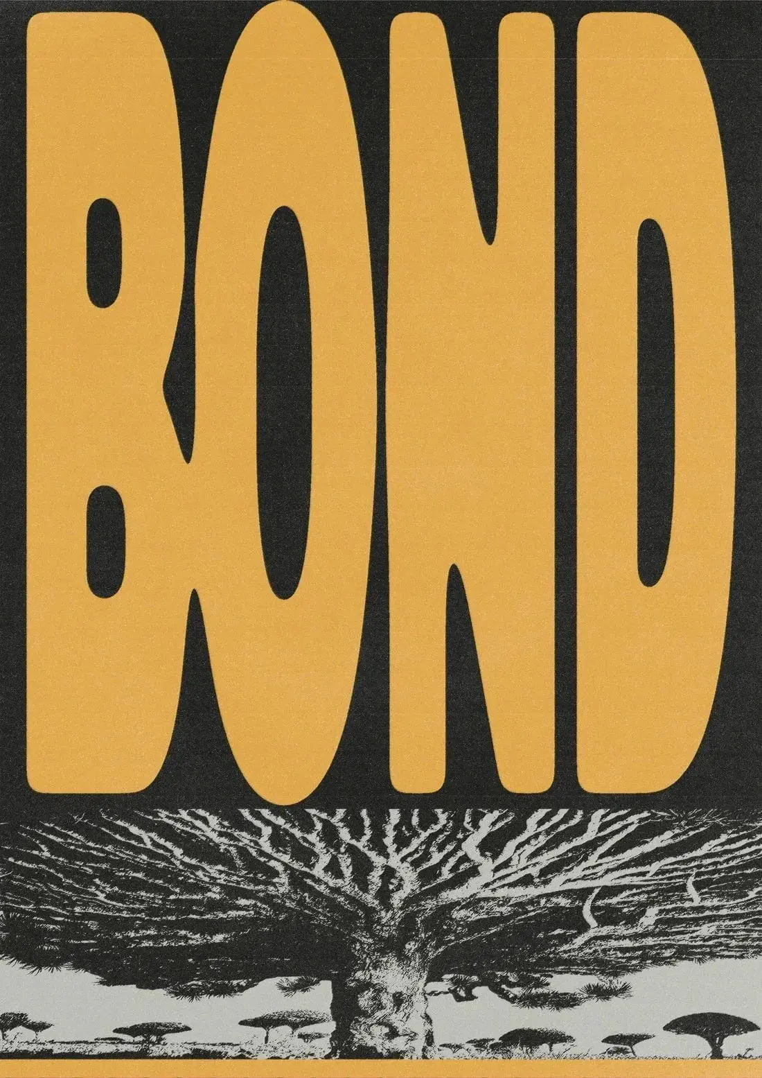 BOND - Image 2