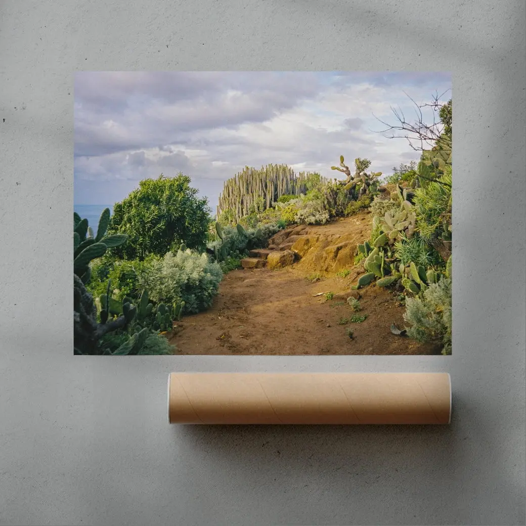 Cactus Path - Image 3
