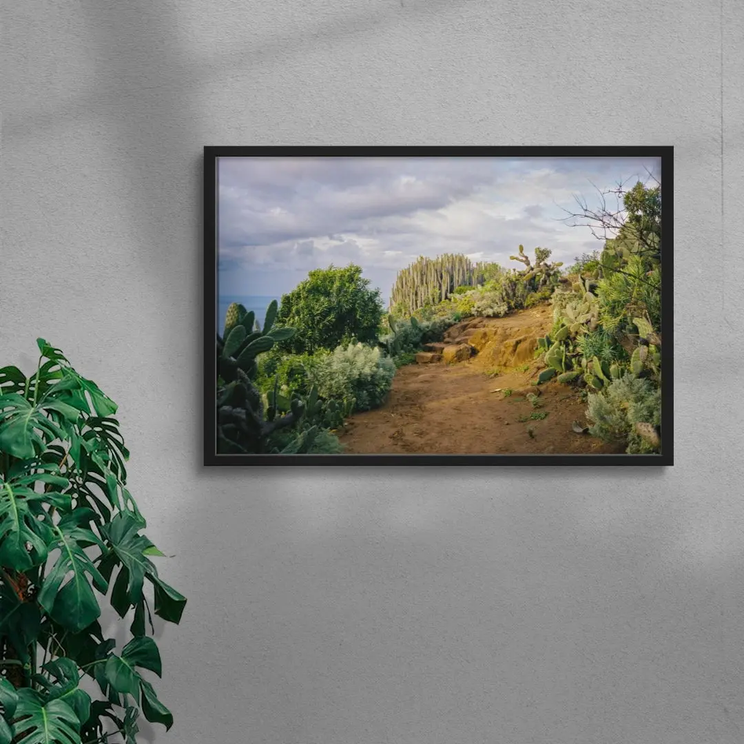 Cactus Path - Image 4