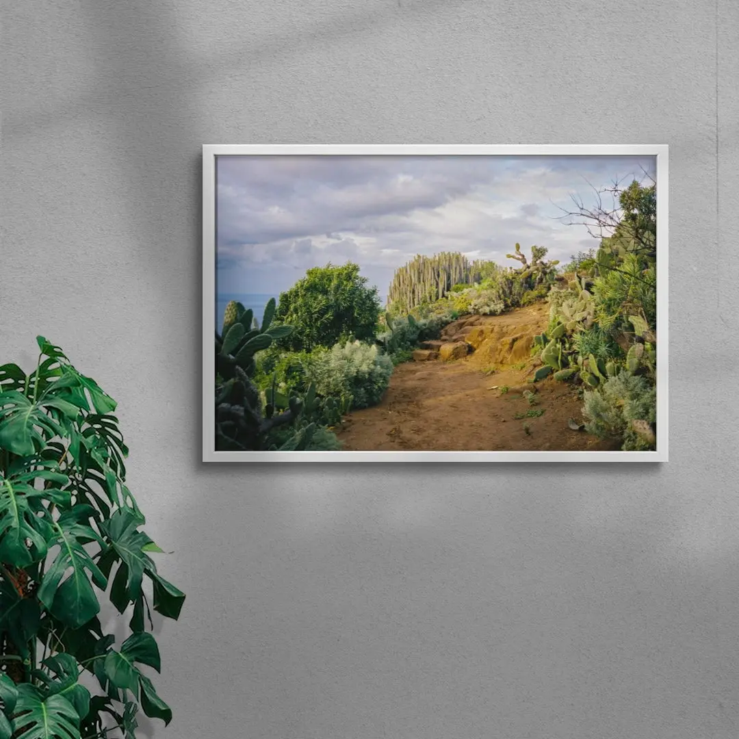 Cactus Path - Image 5