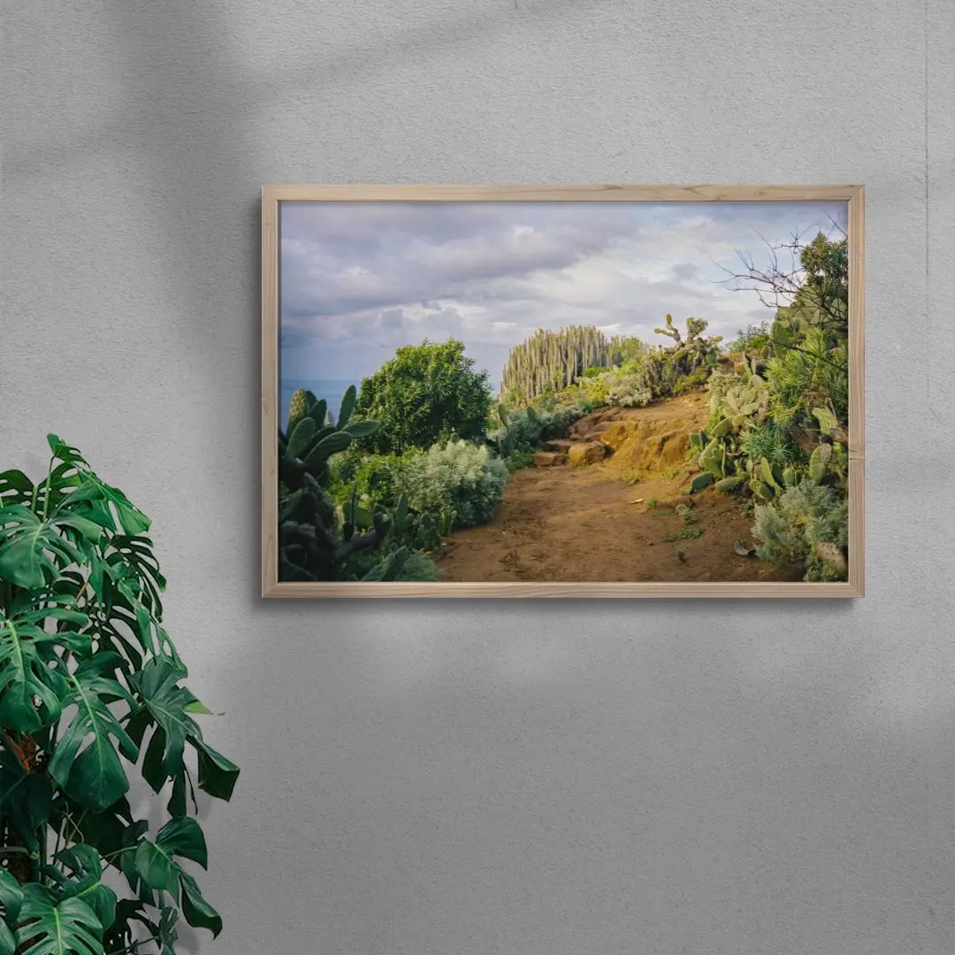 Cactus Path - Image 6