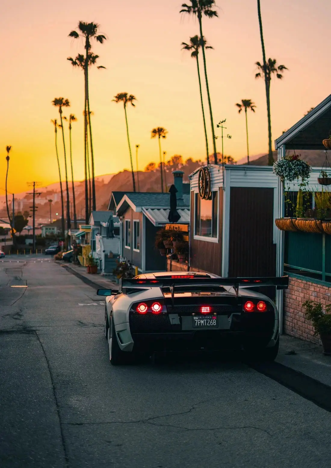 Cali Merci - Image 2
