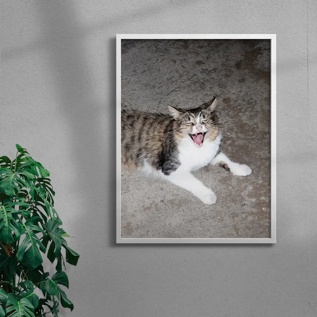 Cat Face - Image 2