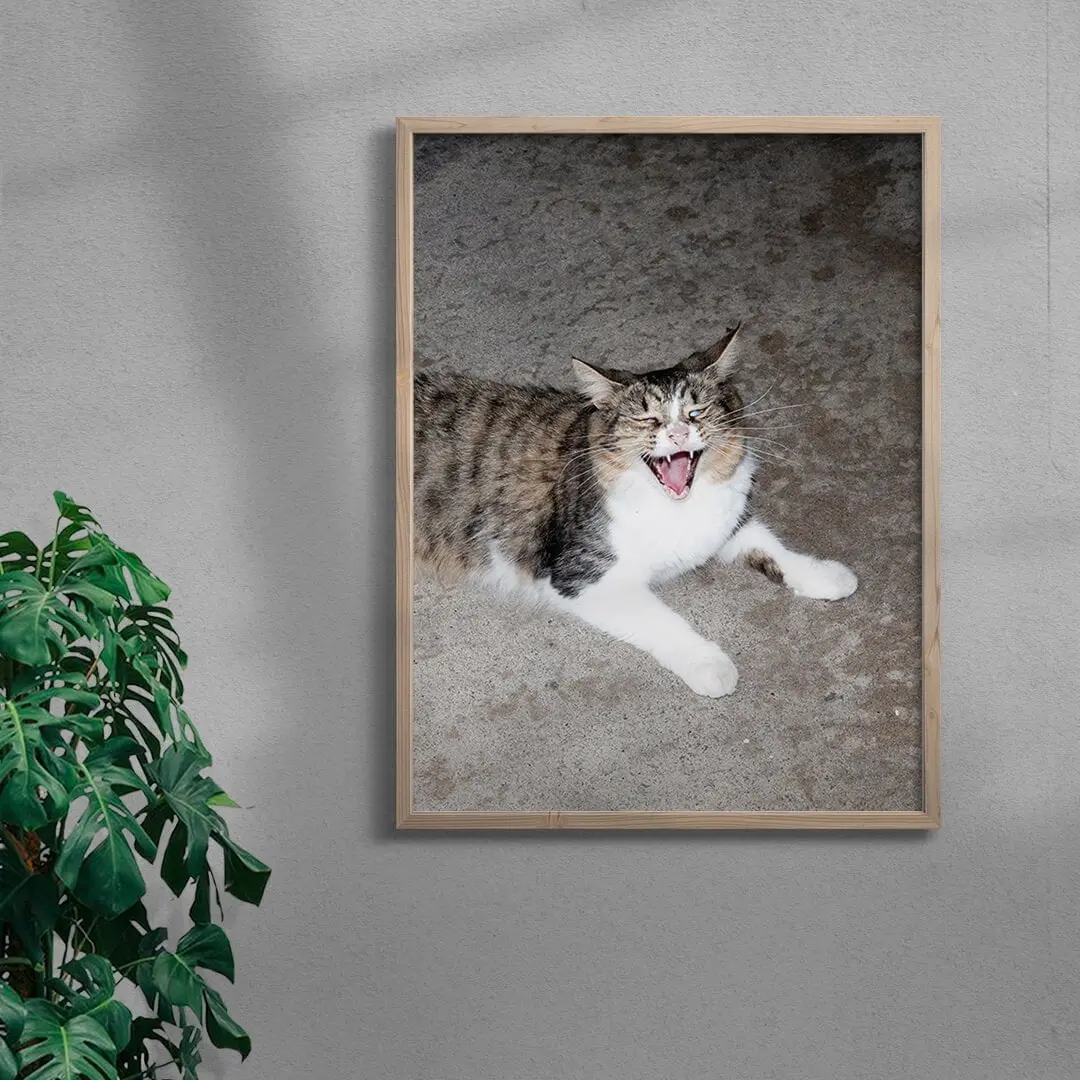 Cat Face - Image 3
