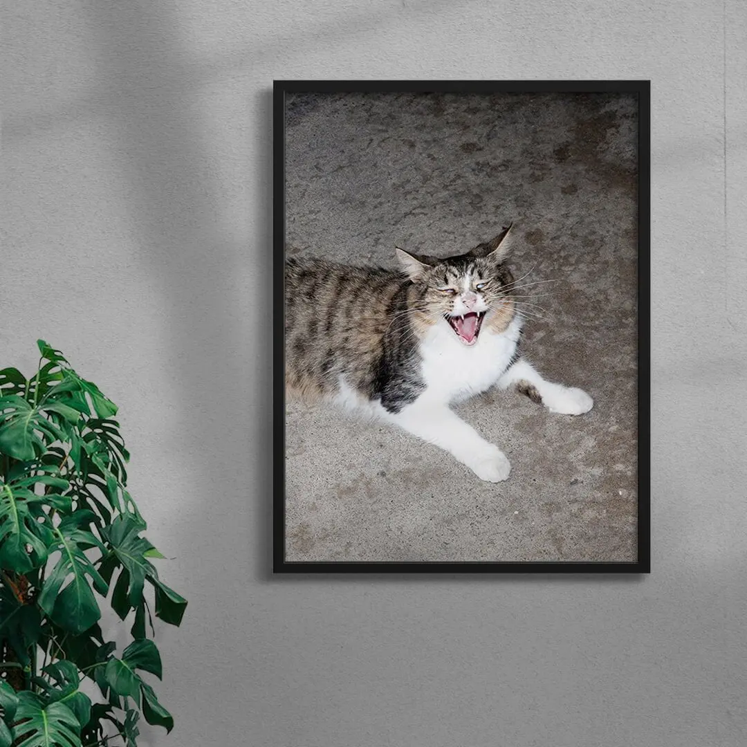 Cat Face - Image 4