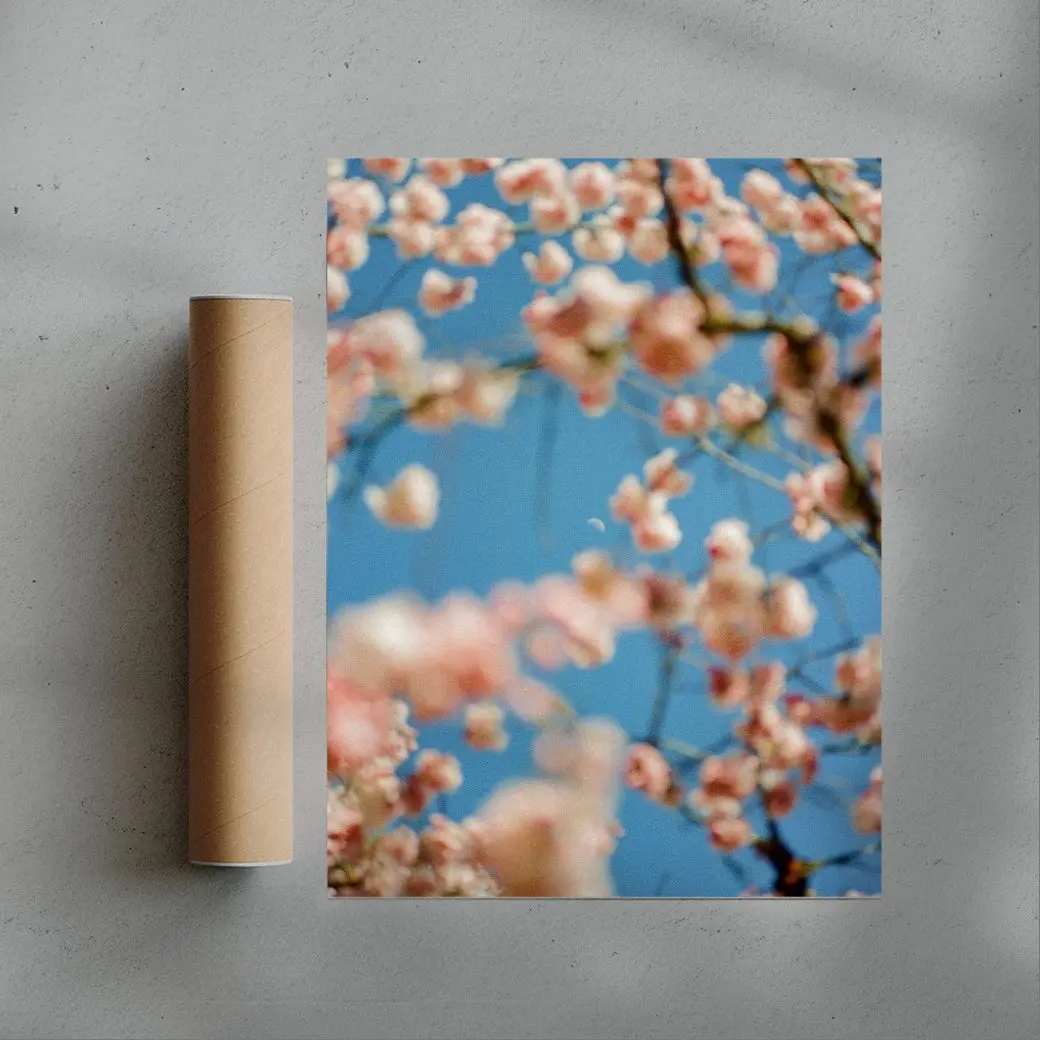 Cherrry Blossom - Image 3