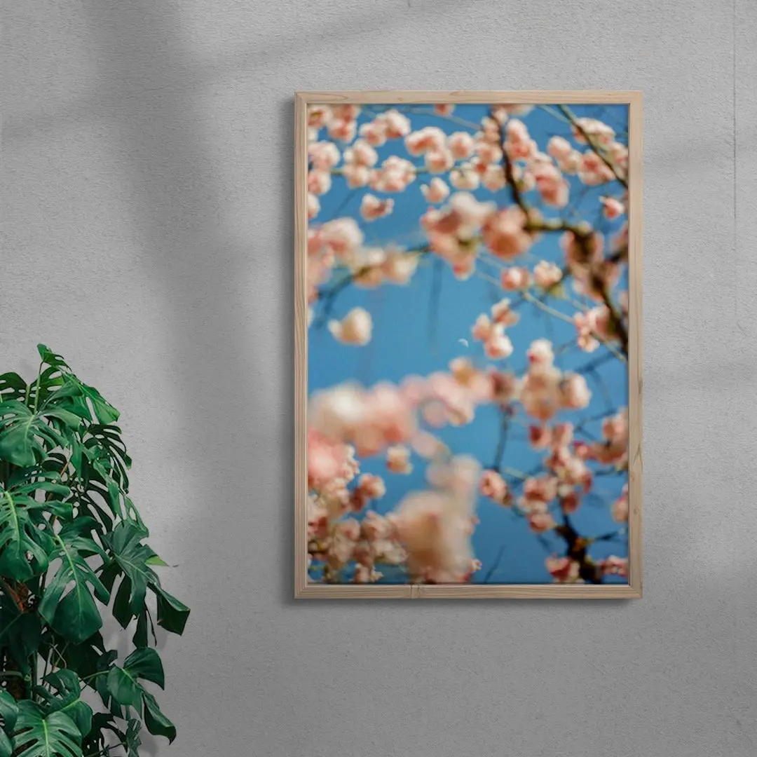 Cherrry Blossom - Image 6