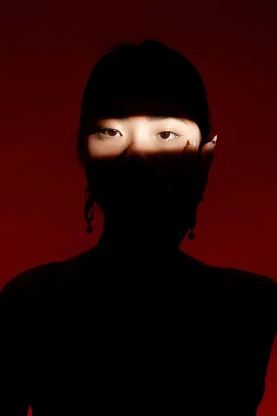 Concealed - Image 2