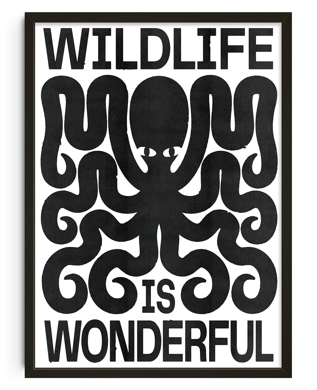 Wildlife - Image 8