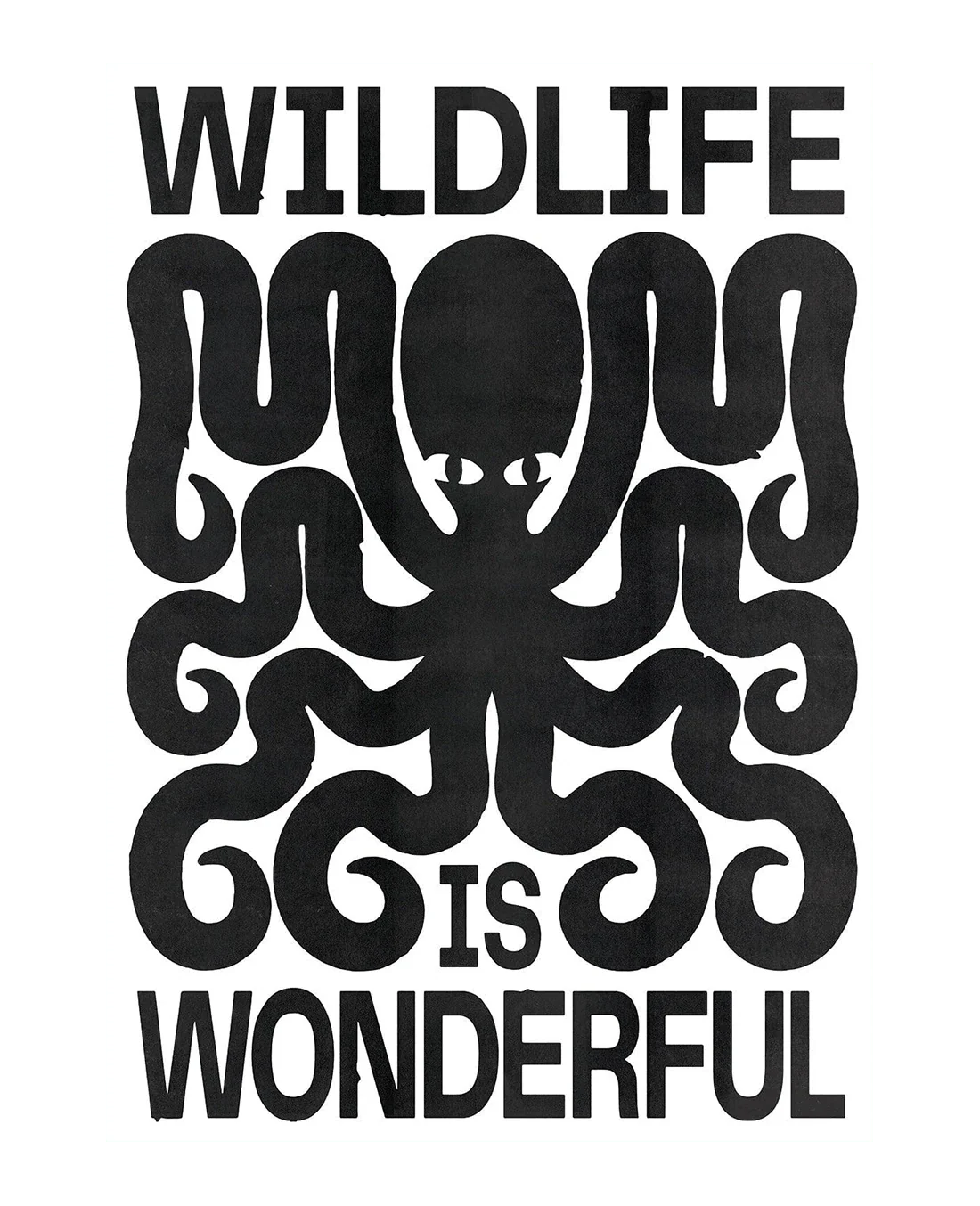 Wildlife - Image 9